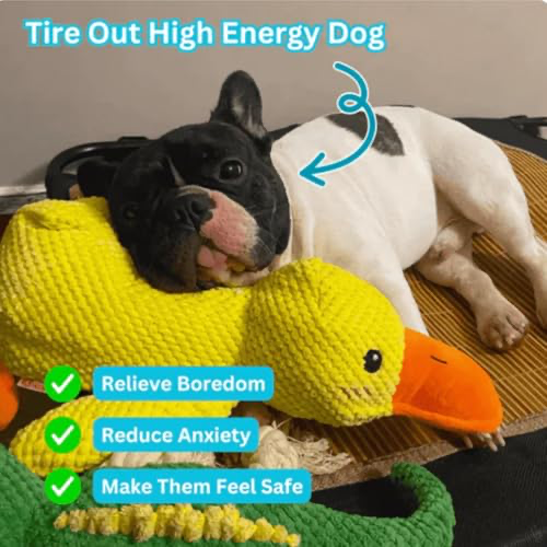 QuackCalm Calming Duck Dog Toy - photo 127