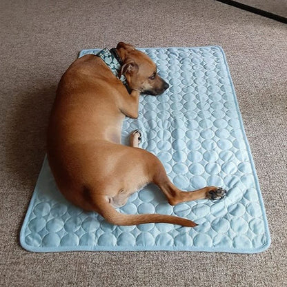 Dog Cooling Mat