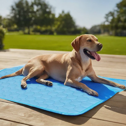 Dog Cooling Mat