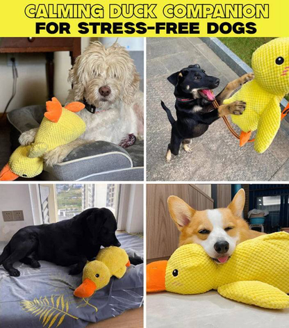 QuackCalm Calming Duck Dog Toy - photo 10