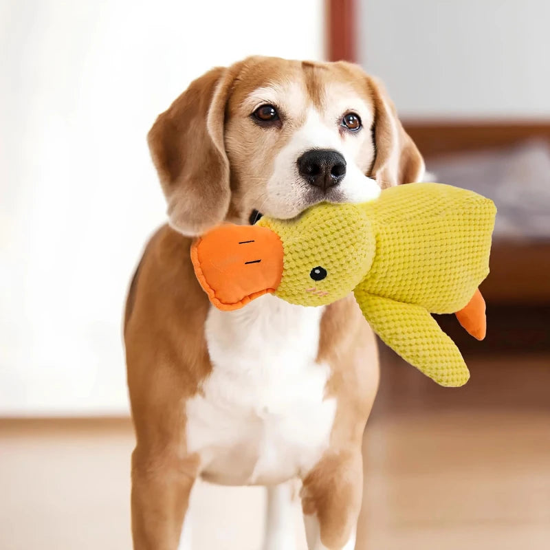 QuackCalm Calming Duck Dog Toy - photo 102