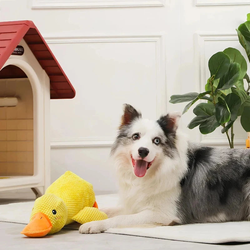 QuackCalm Calming Duck Dog Toy - photo 103