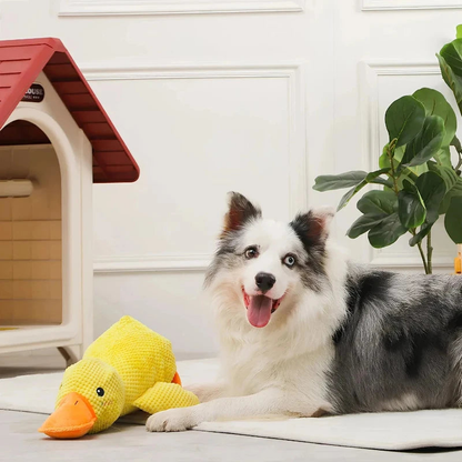 QuackCalm Calming Duck Dog Toy - photo 103