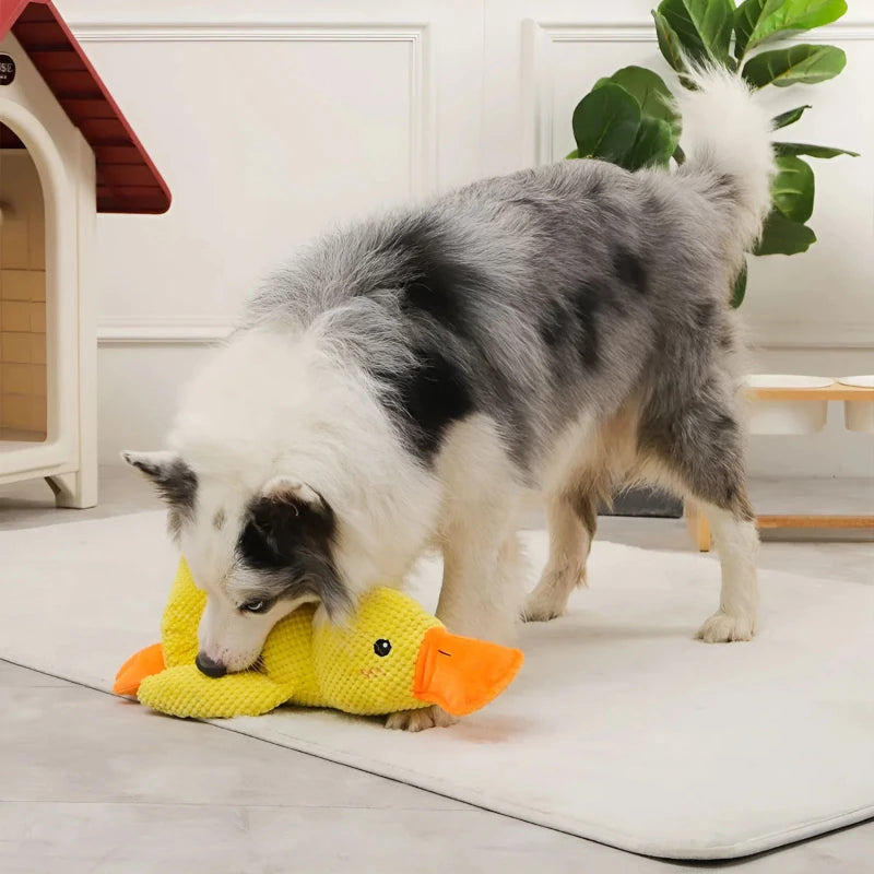 QuackCalm Calming Duck Dog Toy - photo 105