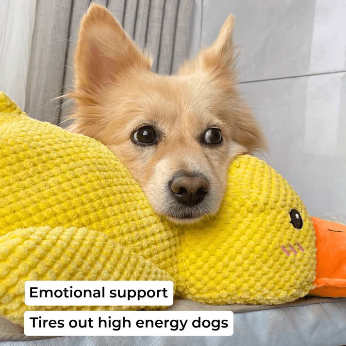 QuackCalm Calming Duck Dog Toy - photo 106