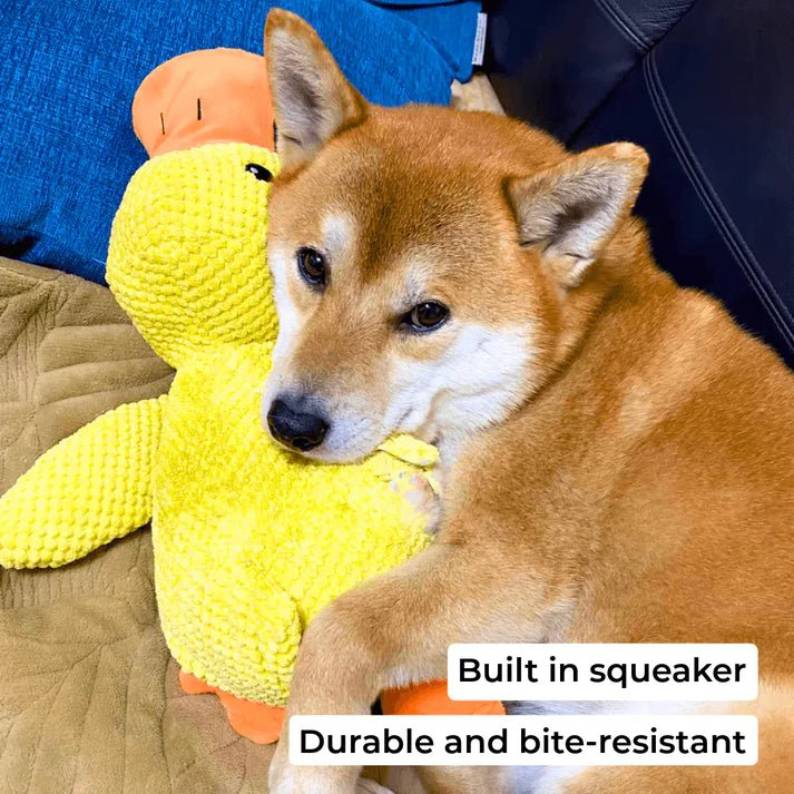 QuackCalm Calming Duck Dog Toy - photo 107