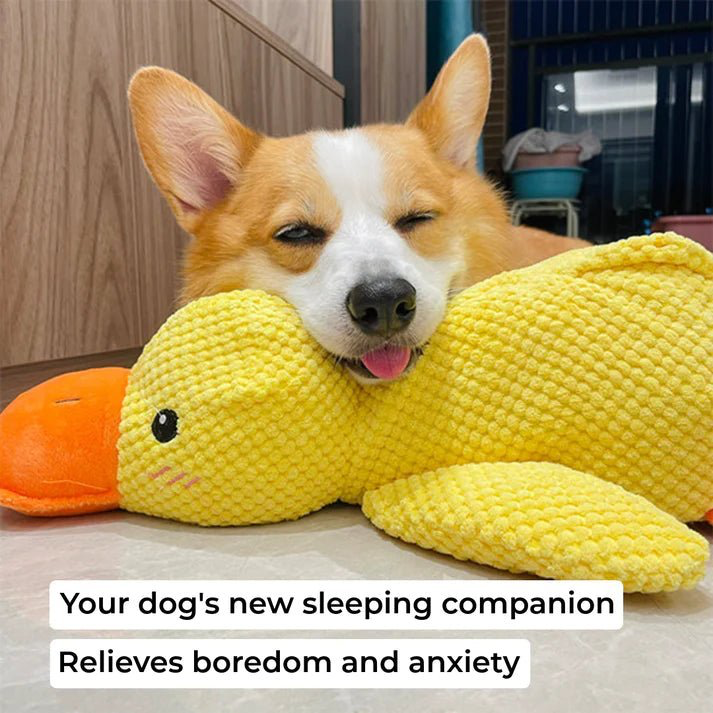 QuackCalm Calming Duck Dog Toy - photo 108