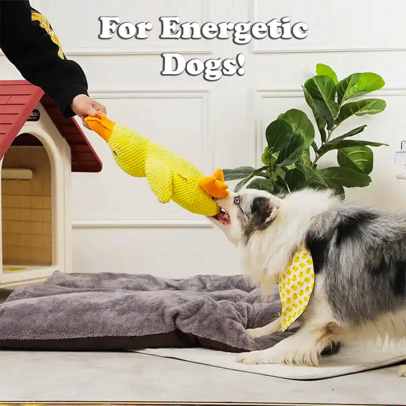 QuackCalm Calming Duck Dog Toy - photo 12