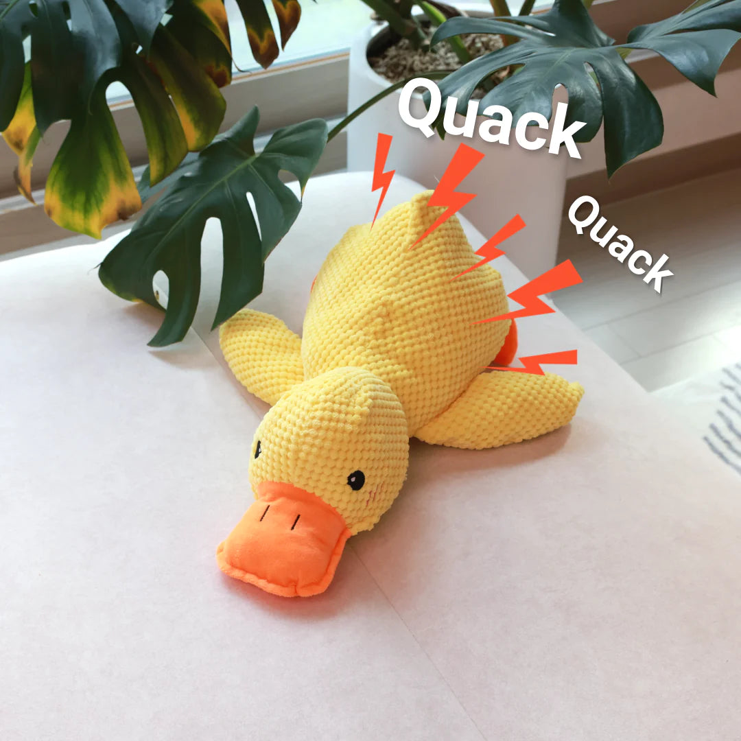 QuackCalm Calming Duck Dog Toy - photo 126