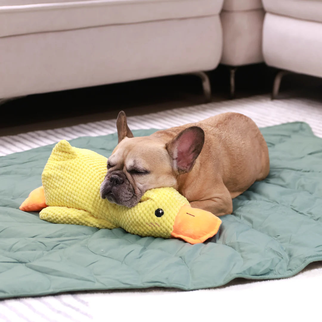 QuackCalm Calming Duck Dog Toy - photo 128