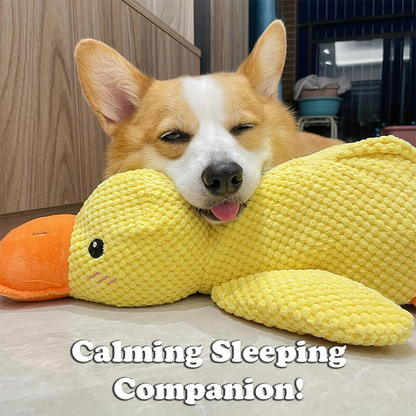 QuackCalm Calming Duck Dog Toy - photo 13
