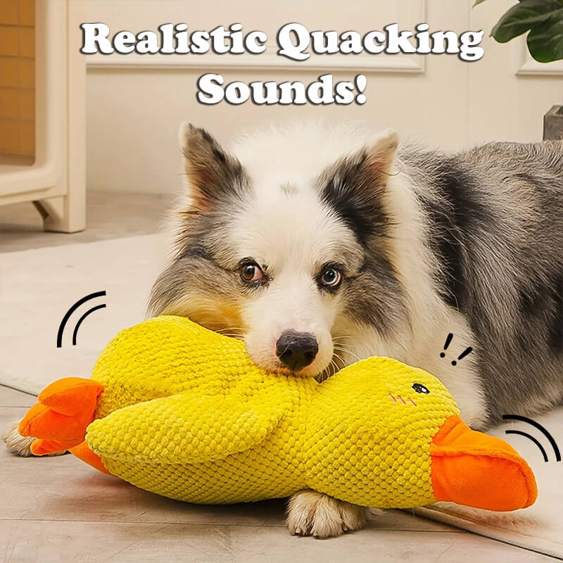 QuackCalm Calming Duck Dog Toy - photo 14