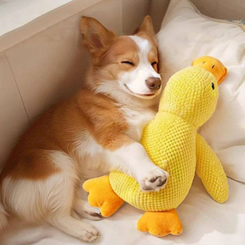 QuackCalm Calming Duck Dog Toy - photo 2