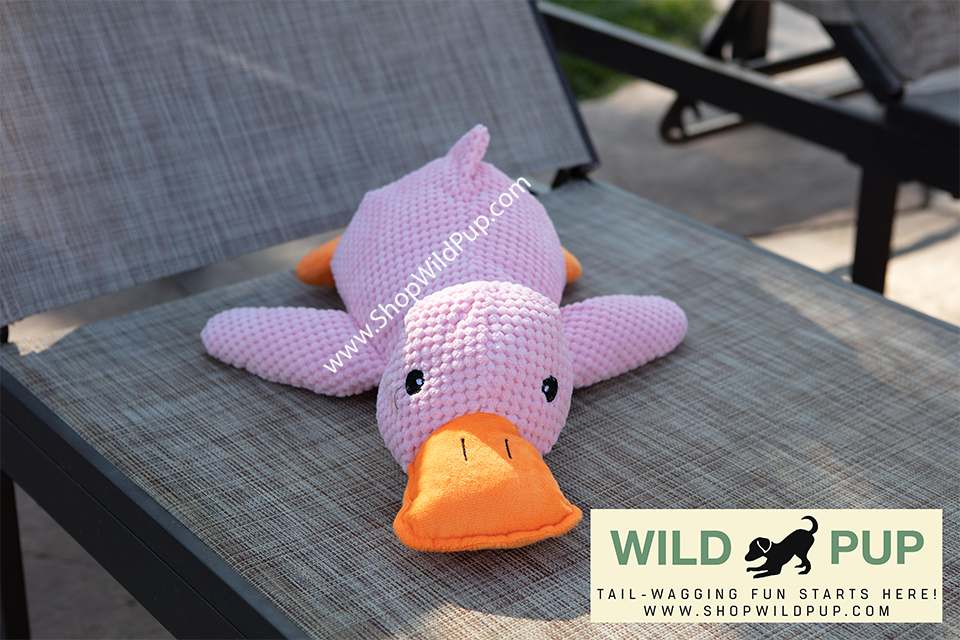 QuackCalm Calming Duck Dog Toy - photo 20