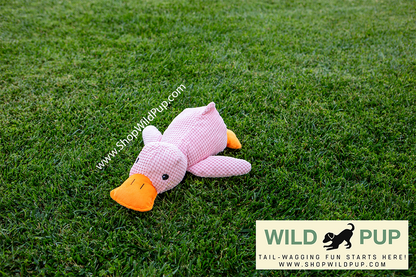 QuackCalm Calming Duck Dog Toy - photo 21