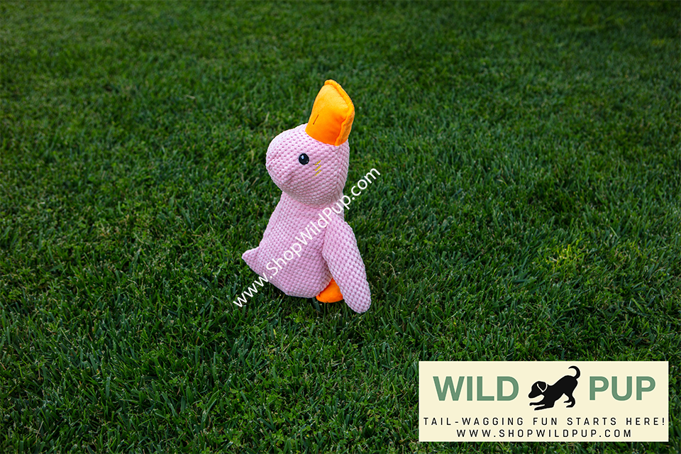 QuackCalm Calming Duck Dog Toy - photo 22