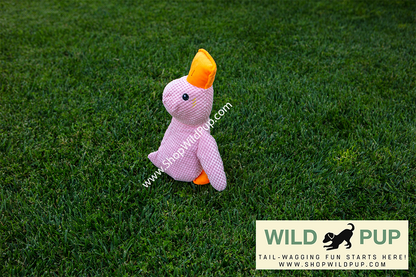 QuackCalm Calming Duck Dog Toy - photo 22