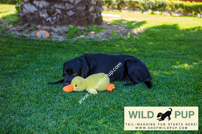 QuackCalm Calming Duck Dog Toy - photo 23