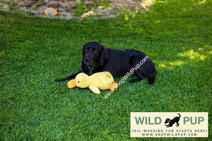 QuackCalm Calming Duck Dog Toy - photo 24