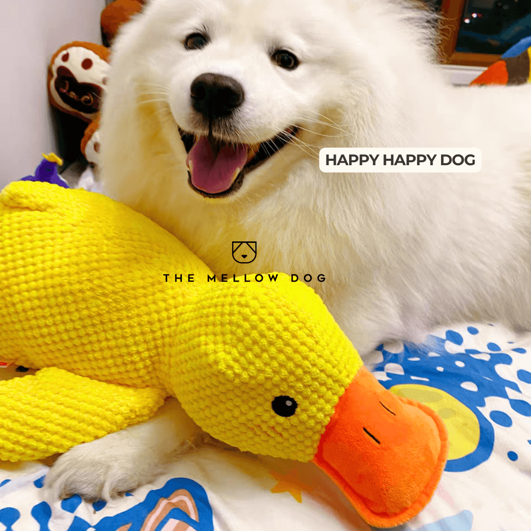 QuackCalm Calming Duck Dog Toy - photo 34