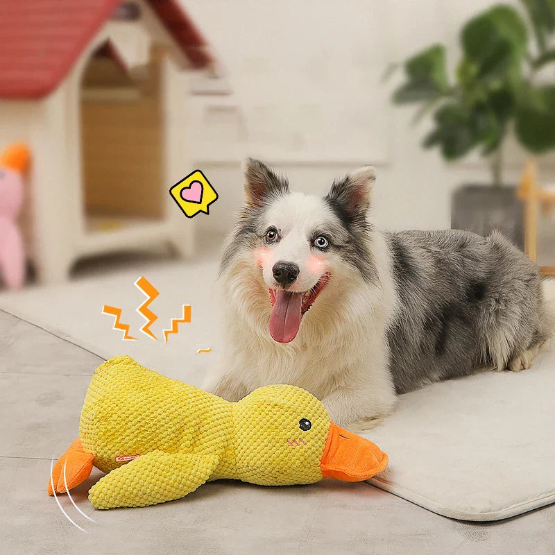 QuackCalm Calming Duck Dog Toy - photo 42