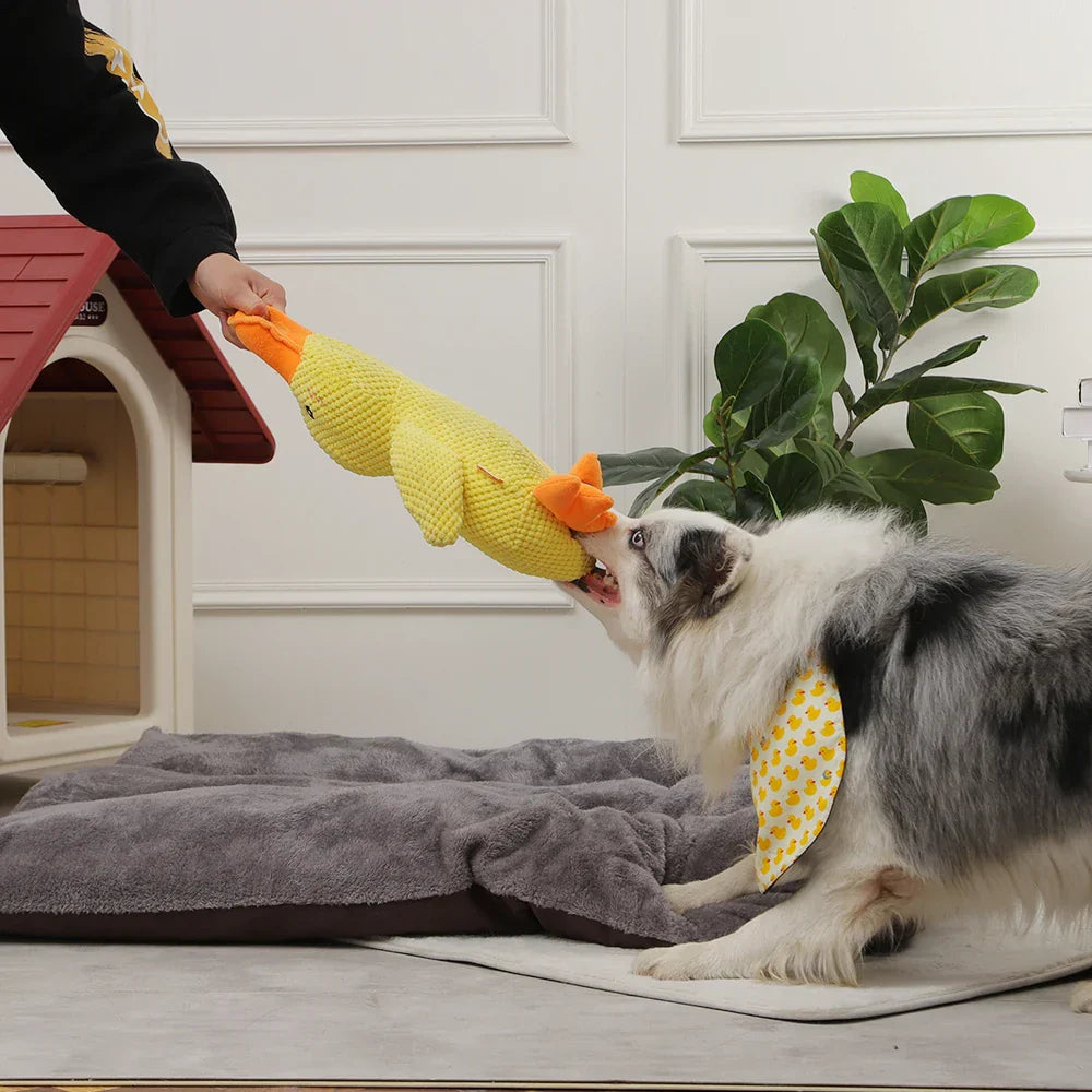 QuackCalm Calming Duck Dog Toy - photo 44