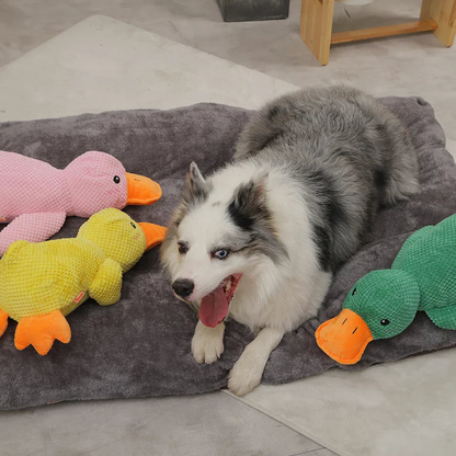 QuackCalm Calming Duck Dog Toy - photo 50