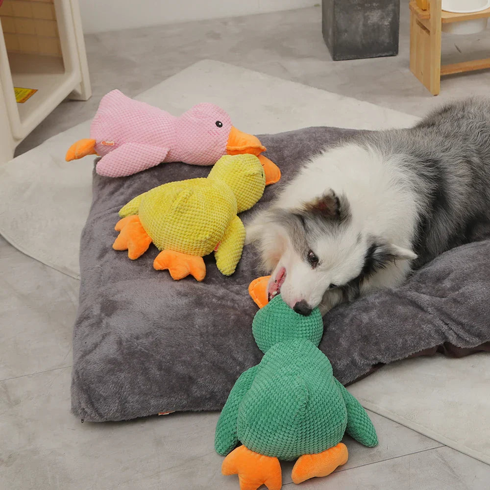 QuackCalm Calming Duck Dog Toy - photo 51