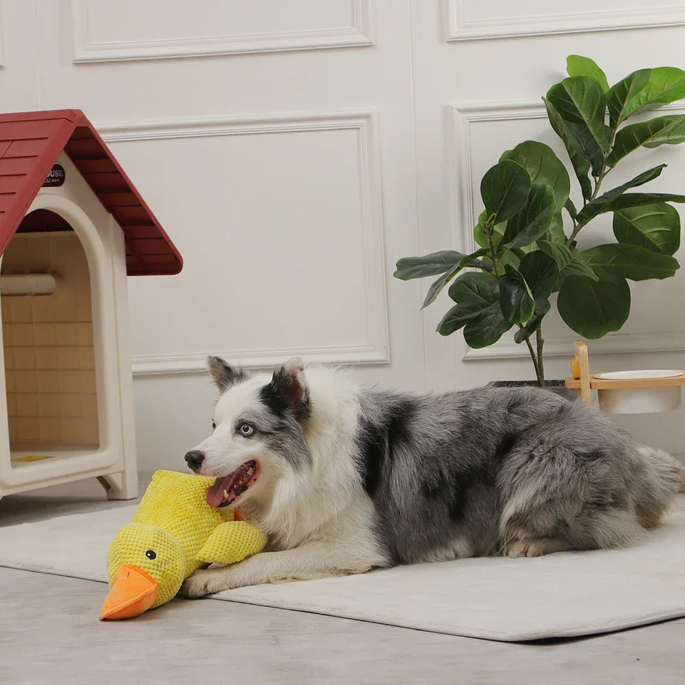 QuackCalm Calming Duck Dog Toy - photo 52