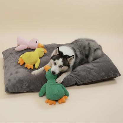 QuackCalm Calming Duck Dog Toy - photo 57
