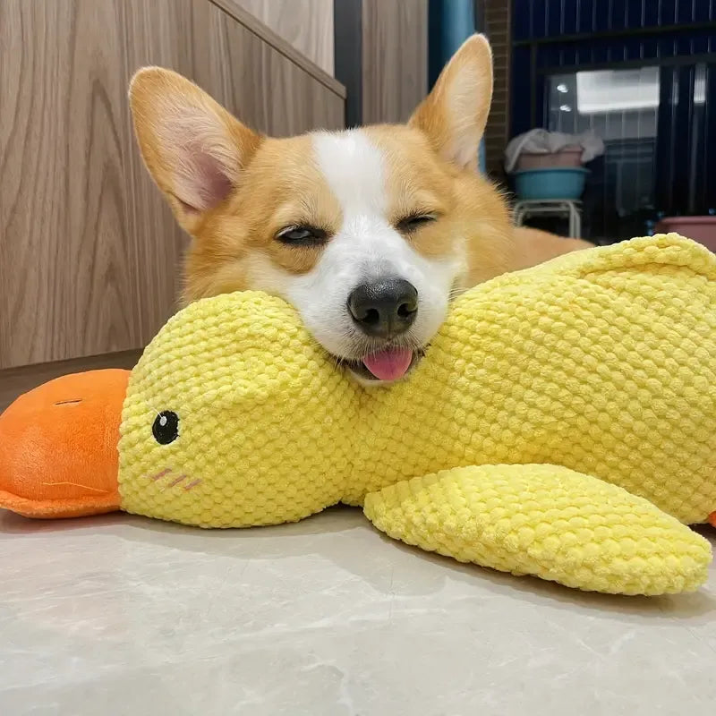 QuackCalm Calming Duck Dog Toy - photo 61