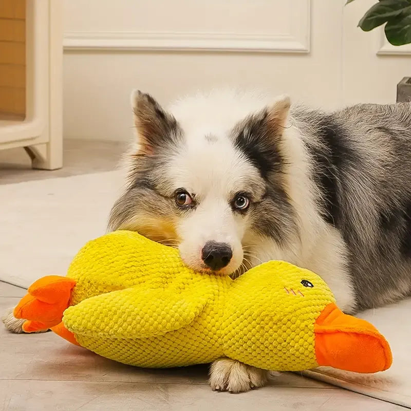 QuackCalm Calming Duck Dog Toy - photo 63