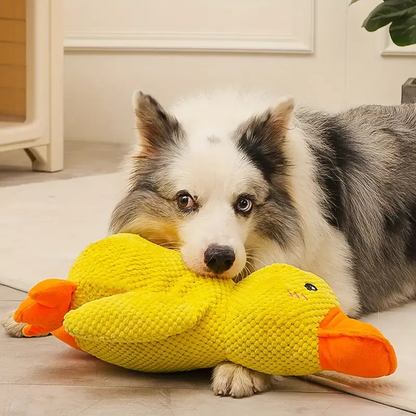 QuackCalm Calming Duck Dog Toy - photo 63