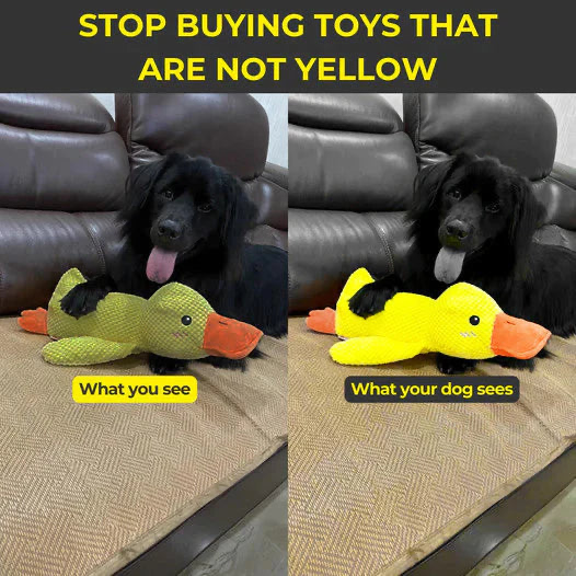 QuackCalm Calming Duck Dog Toy - photo 64