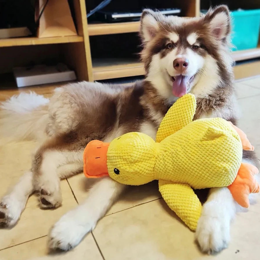 QuackCalm Calming Duck Dog Toy - photo 65