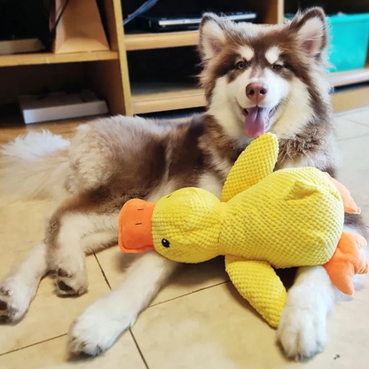 QuackCalm Calming Duck Dog Toy - photo 65