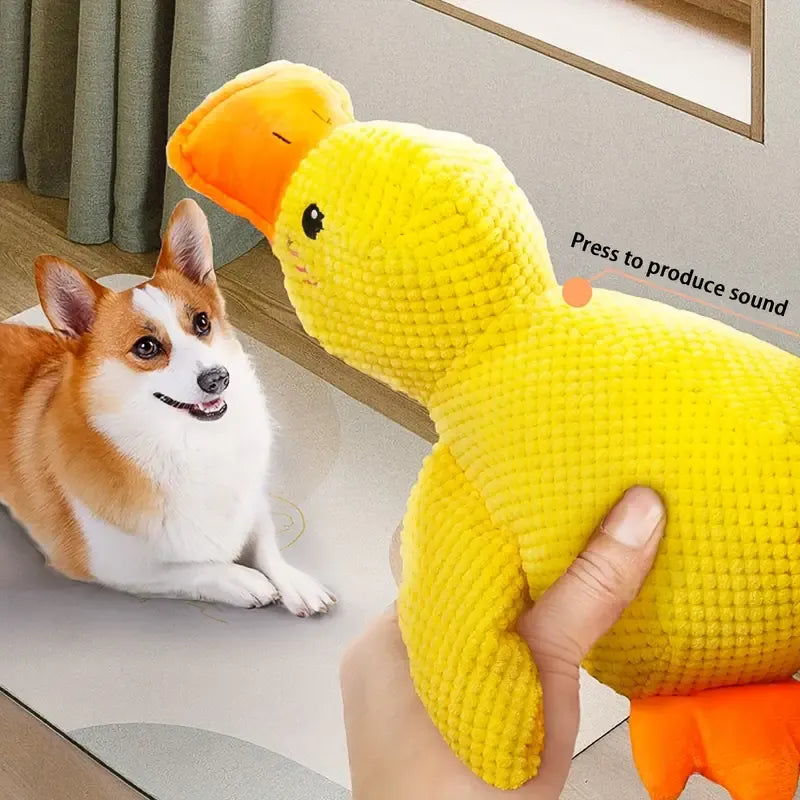 QuackCalm Calming Duck Dog Toy - photo 66