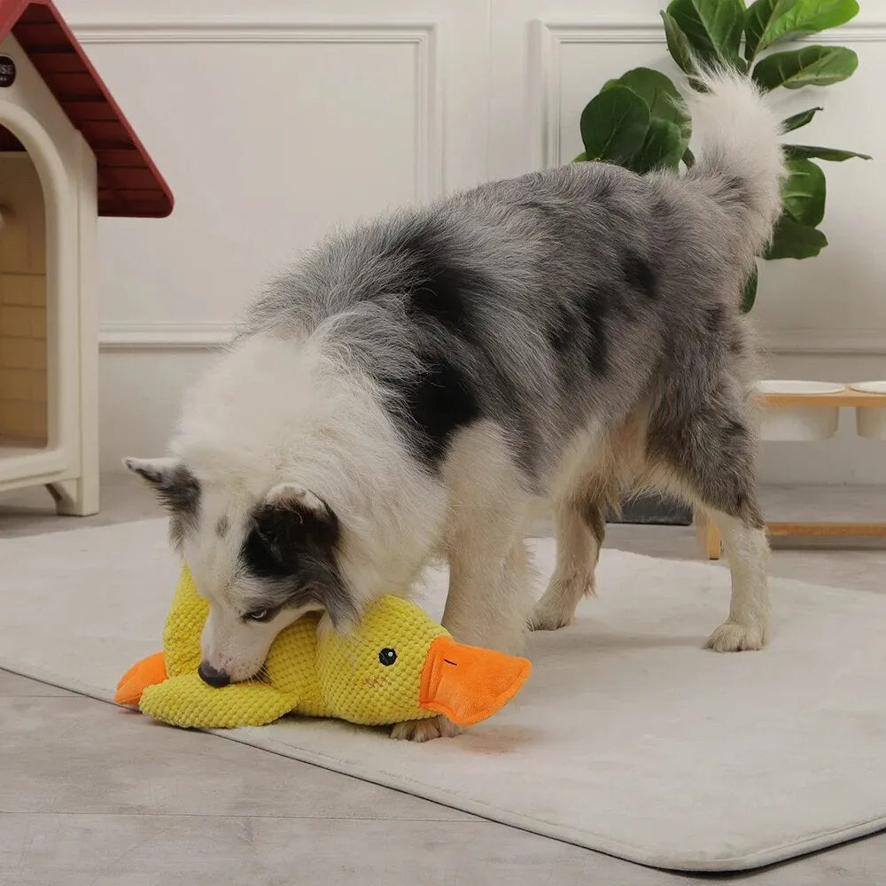 QuackCalm Calming Duck Dog Toy - photo 68