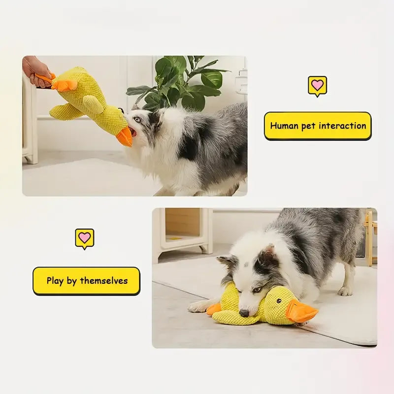 QuackCalm Calming Duck Dog Toy - photo 69
