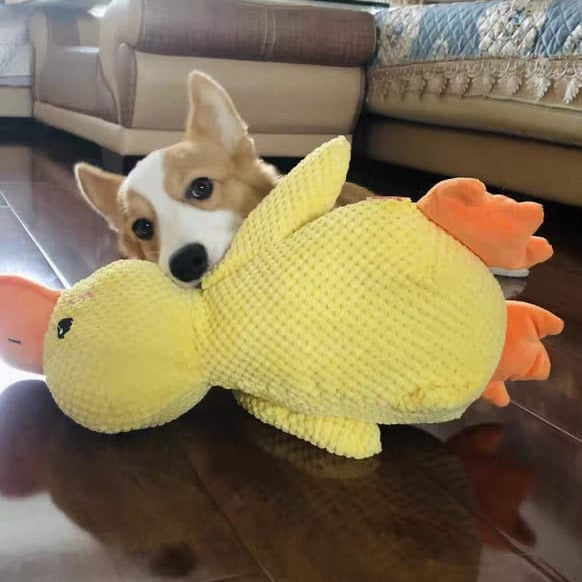 QuackCalm Calming Duck Dog Toy - photo 72