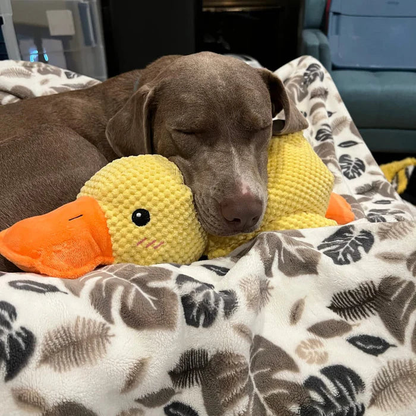 QuackCalm Calming Duck Dog Toy - photo 79