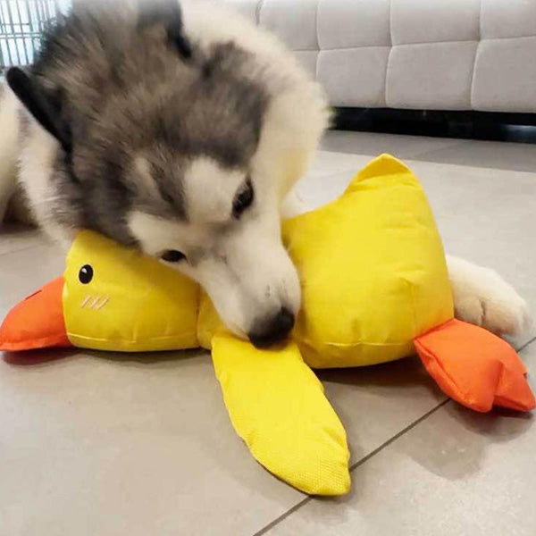 QuackCalm Calming Duck Dog Toy - photo 84