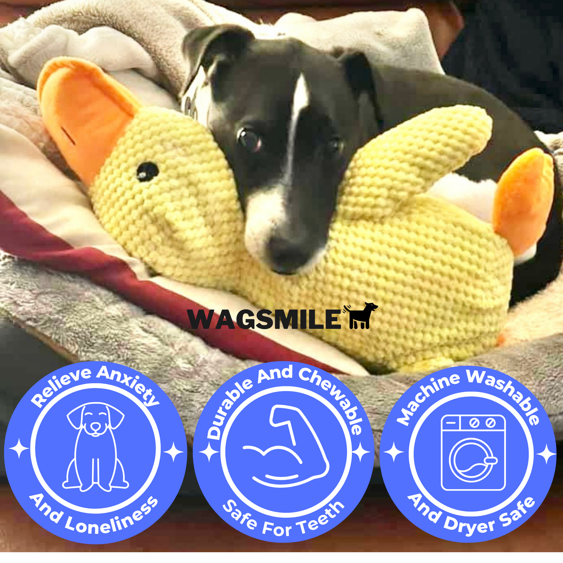 QuackCalm Calming Duck Dog Toy - photo 91