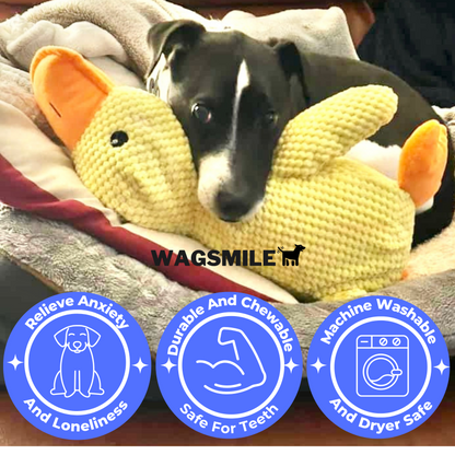 QuackCalm Calming Duck Dog Toy - photo 91