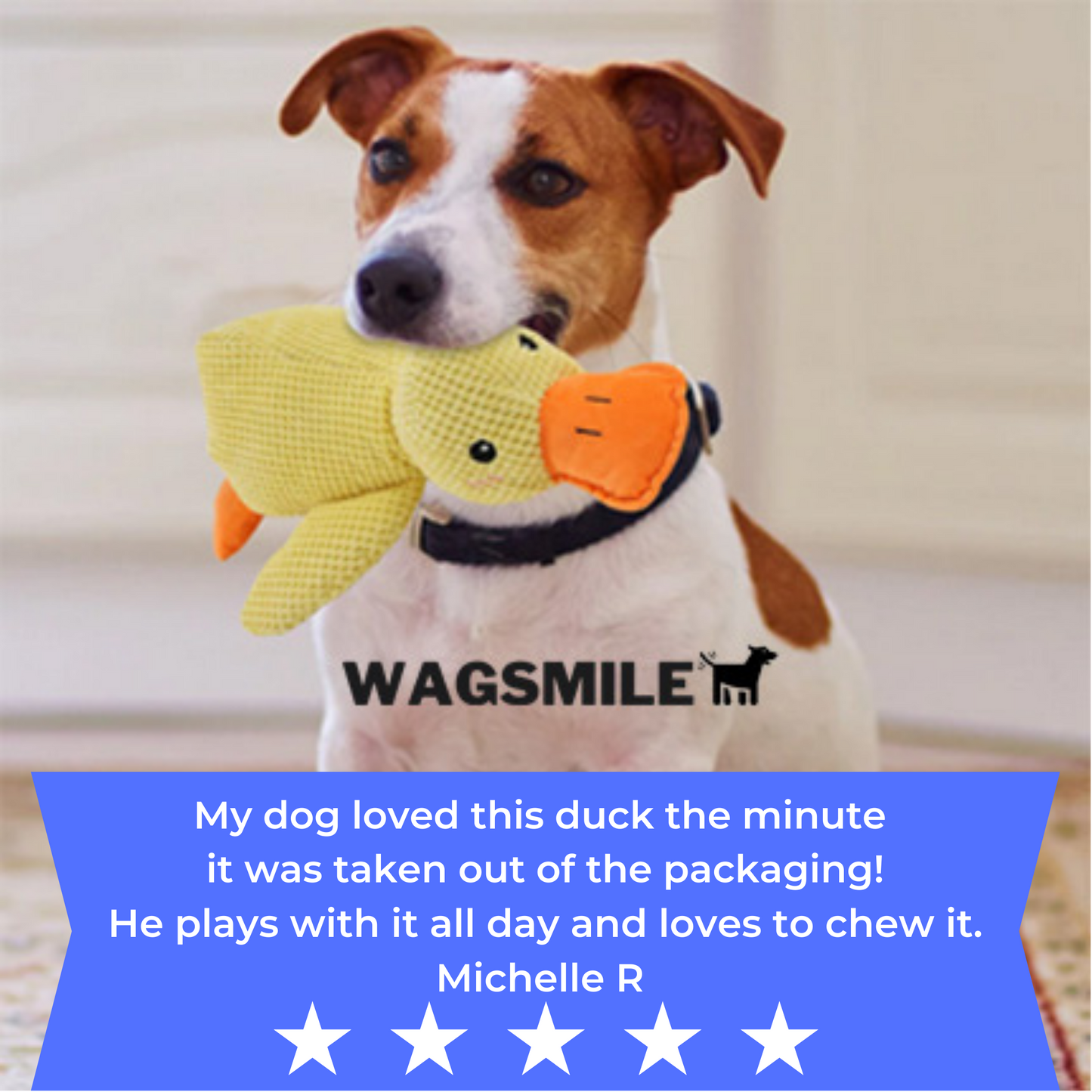 QuackCalm Calming Duck Dog Toy - photo 96