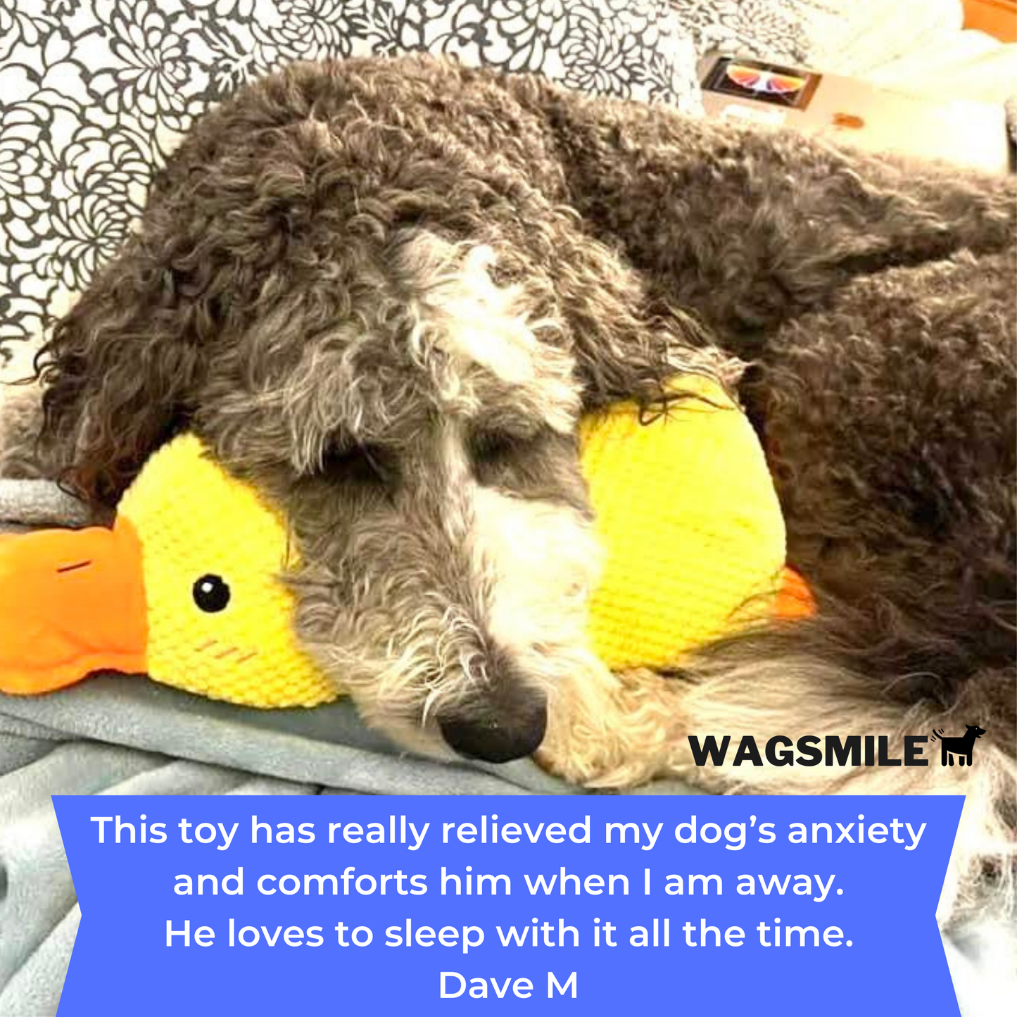 QuackCalm Calming Duck Dog Toy - photo 97