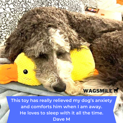 QuackCalm Calming Duck Dog Toy - photo 97