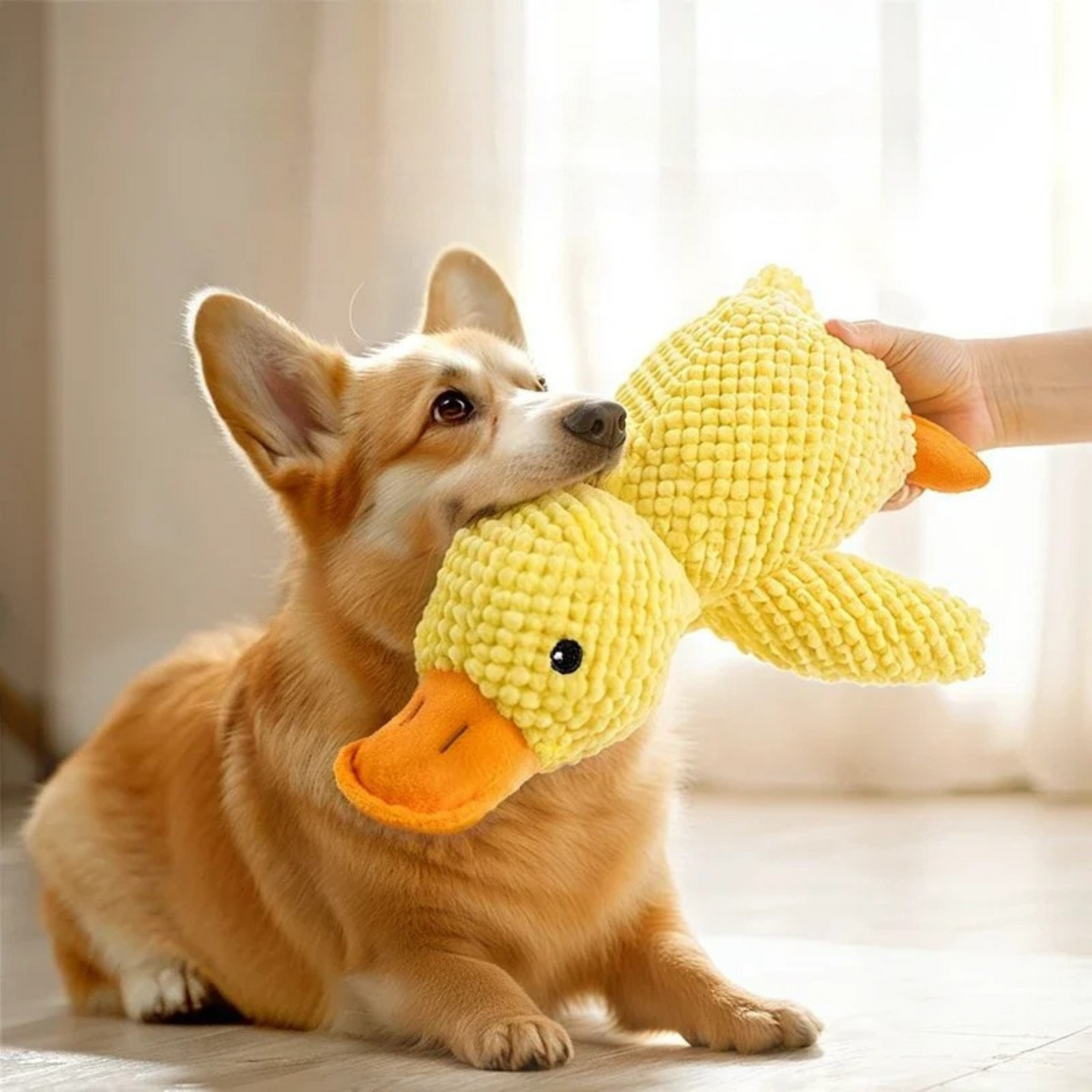 QuackCalm Calming Duck Dog Toy - photo 98